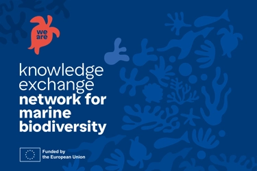 Logo und Farben von we are knowledge exchange network for marine biodiversity 